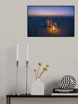 Shepherd fever Poster och Canvastavla