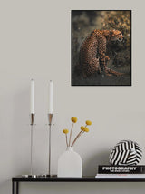 Poster och Canvastavla