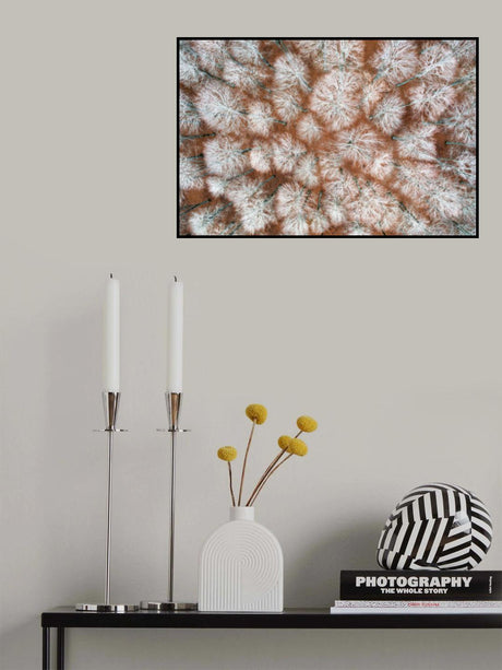 The bare forest Poster och Canvastavla