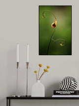 Alone Poster och Canvastavla
