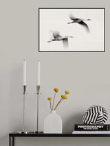 Flying Dreams Poster och Canvastavla