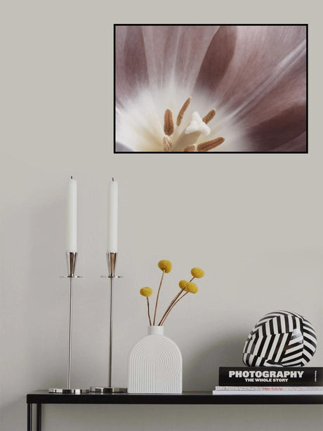 Pink Macro Flower Photo Poster och Canvastavla