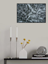Vancouver first snow Poster och Canvastavla