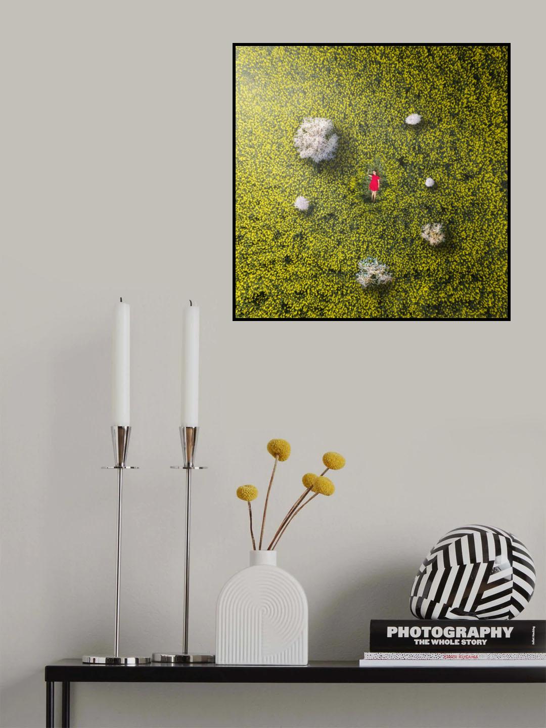 In Love With May Poster och Canvastavla