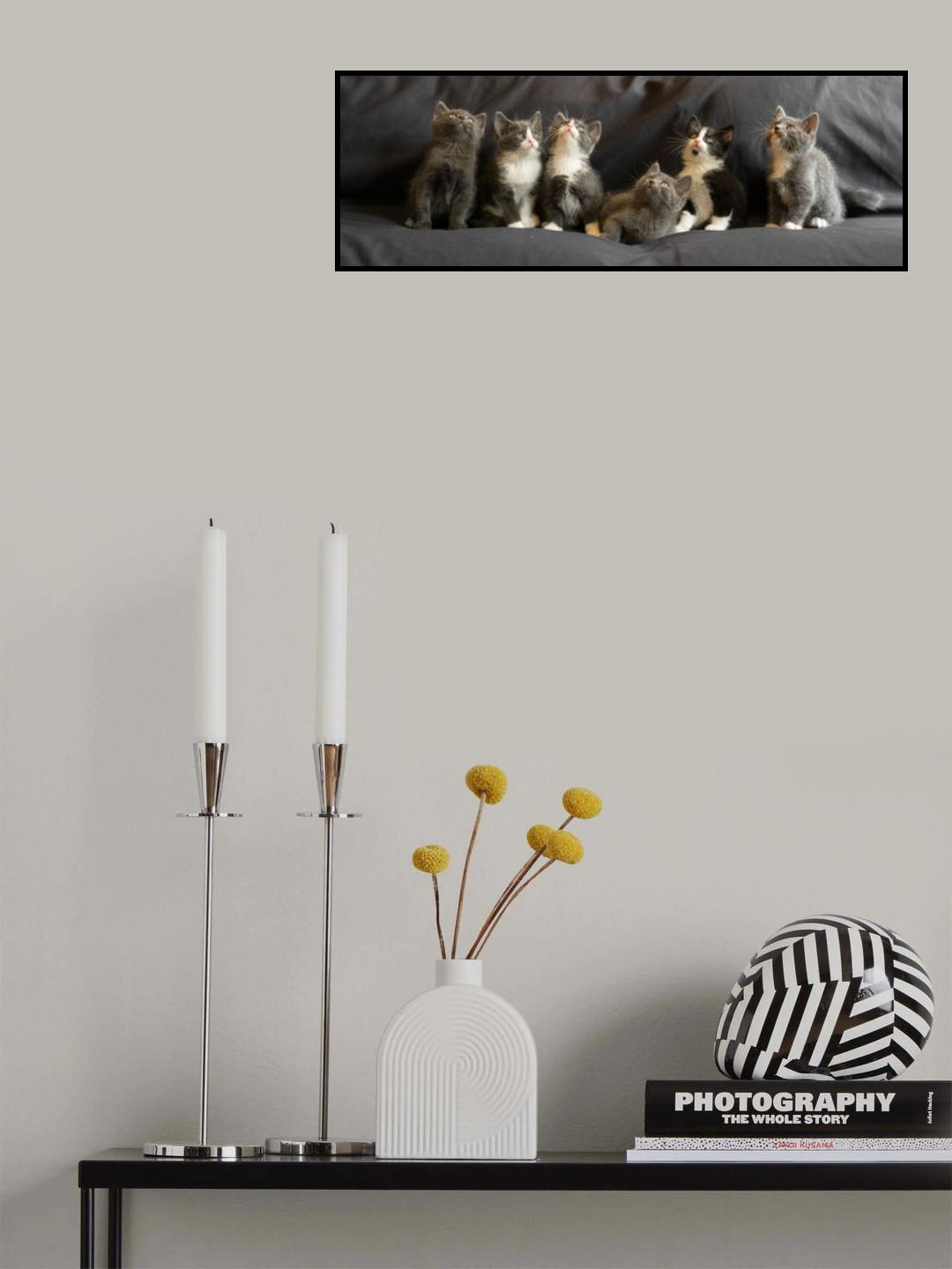 Siblings Poster och Canvastavla