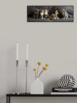 Siblings Poster och Canvastavla