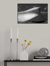 Penguin carrier Poster och Canvastavla