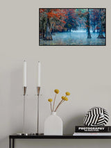 Caddo Lake Poster och Canvastavla