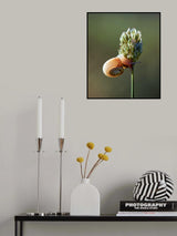 A courious pattern Poster och Canvastavla