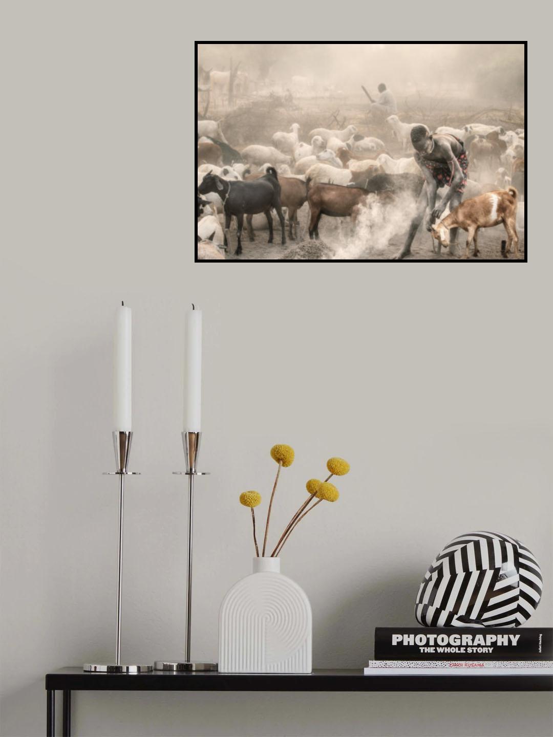Young goat herder at work Poster och Canvastavla