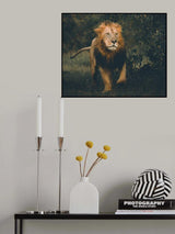 Poster och Canvastavla