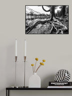 Old Tree Poster och Canvastavla
