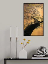 Look up Poster och Canvastavla