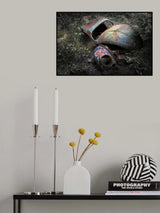 hidden Poster och Canvastavla