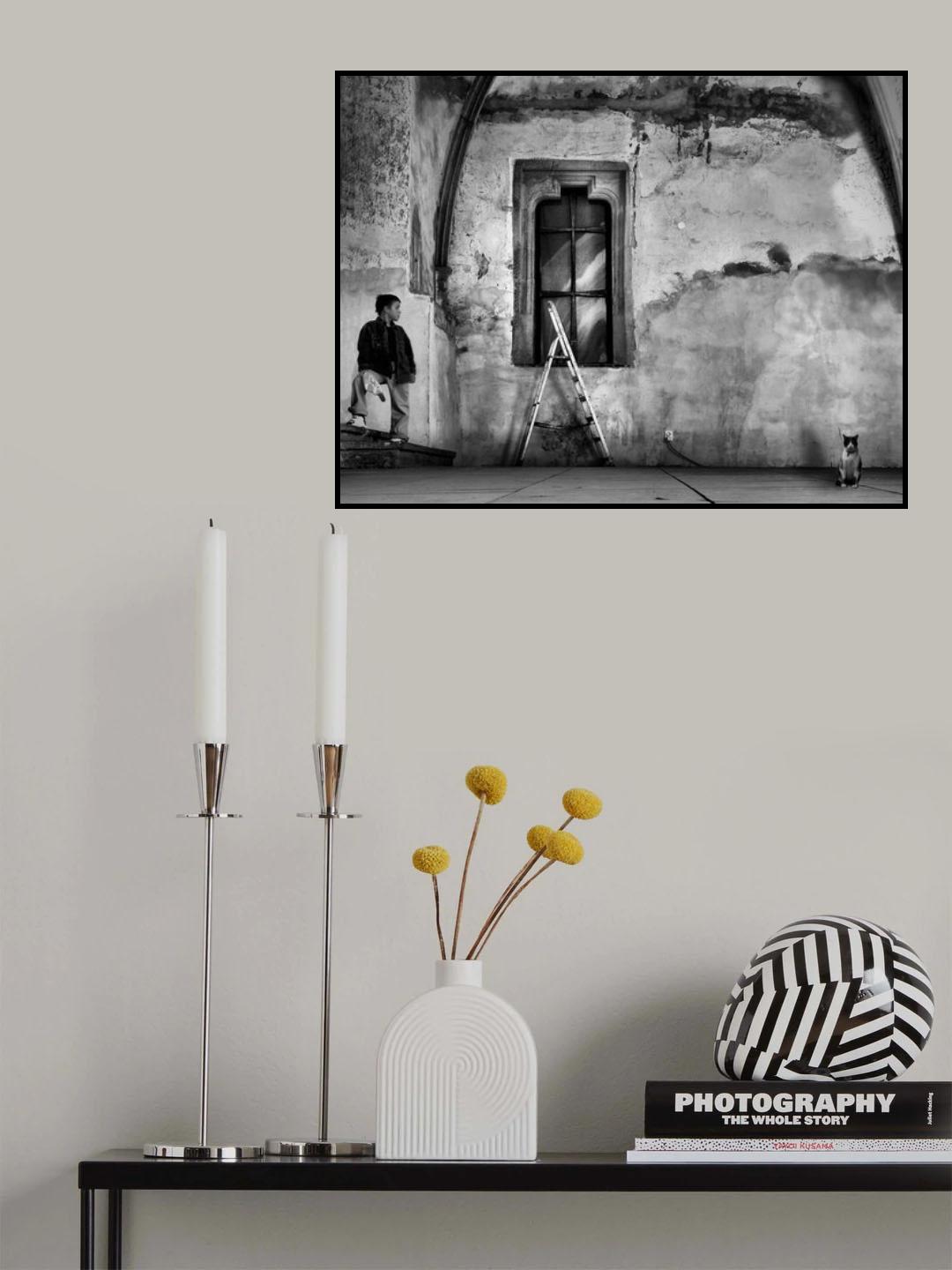 Cat, ladder and boy Poster och Canvastavla