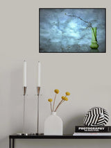 Poster och Canvastavla