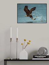 Bring dinner home Poster och Canvastavla