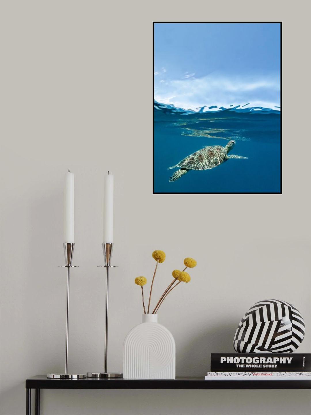 Surface Poster och Canvastavla