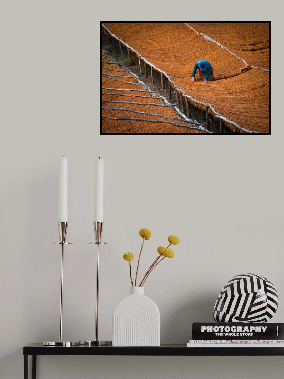 Tobacco Drying Poster och Canvastavla