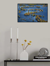 'S' Poster och Canvastavla