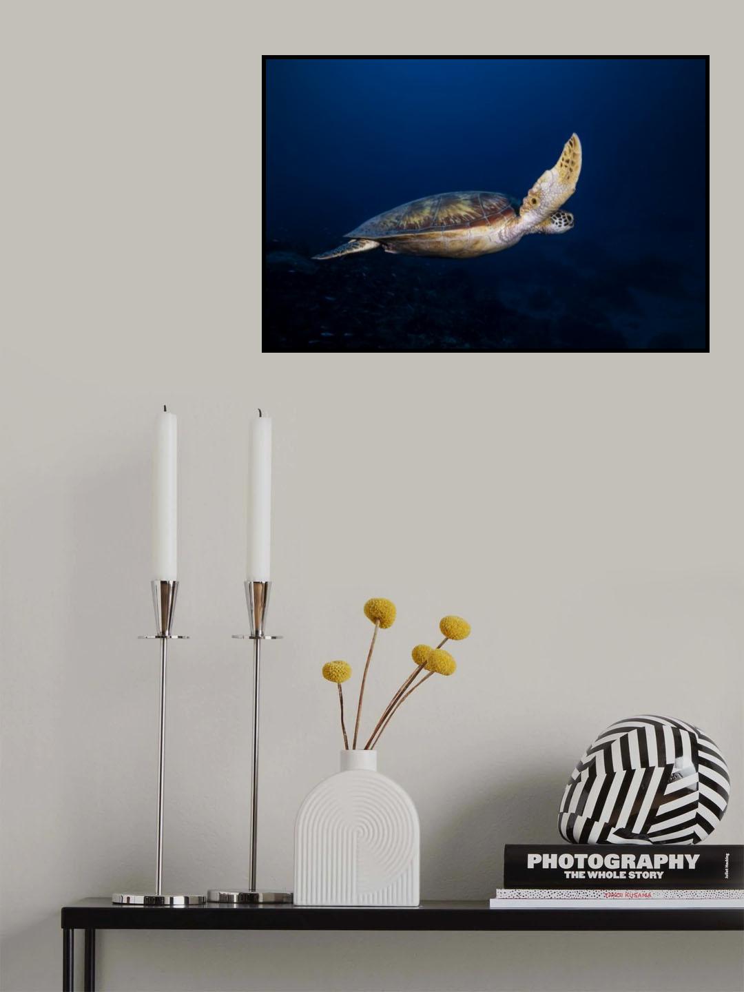 Green Turtle Poster och Canvastavla