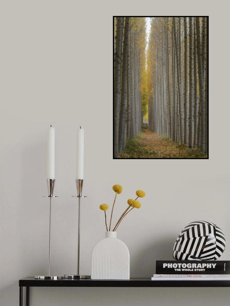 Natural pattern Poster och Canvastavla