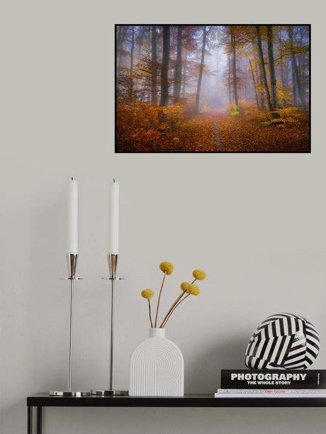 October Trail Poster och Canvastavla