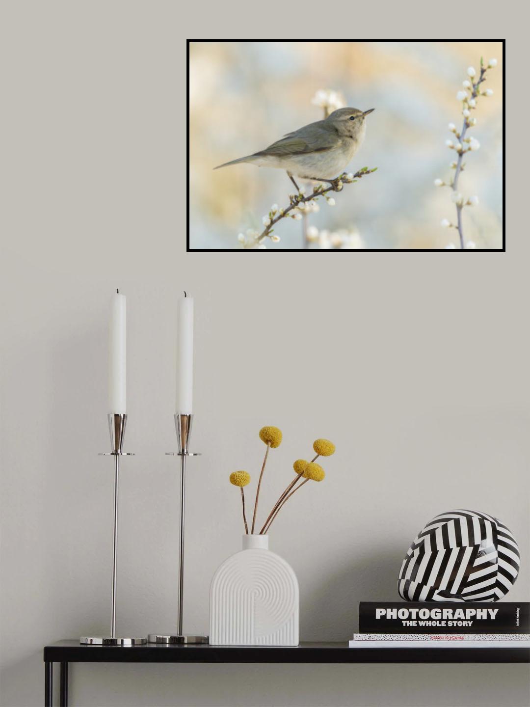 Poster och Canvastavla