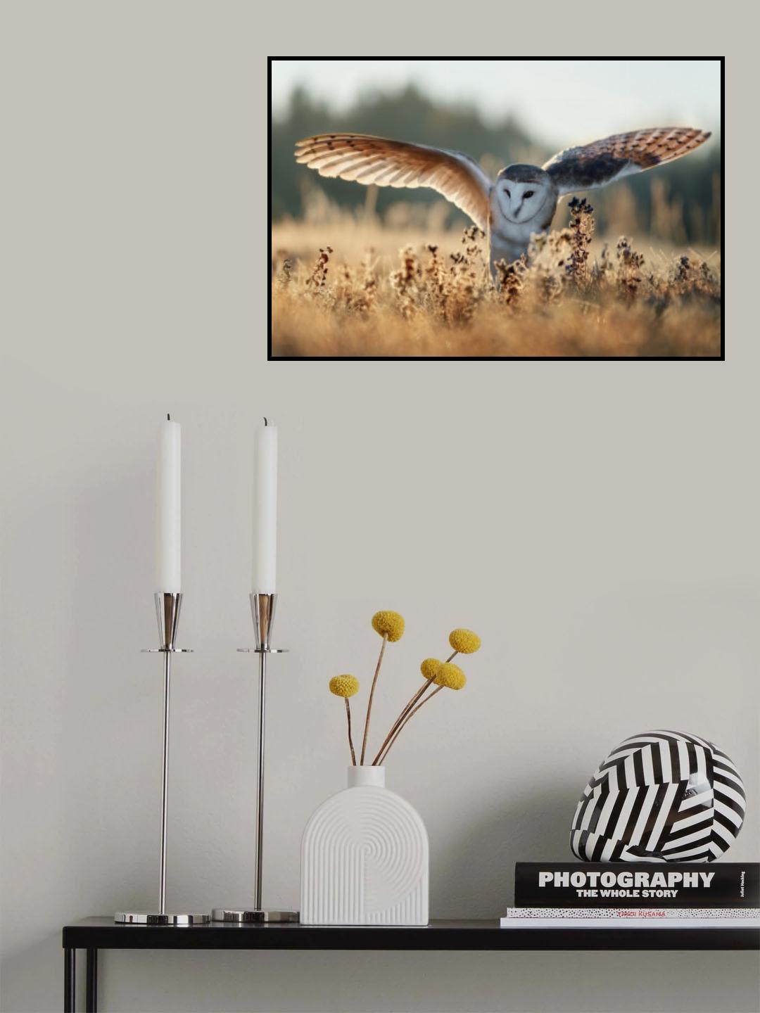 Sunrise Poster och Canvastavla