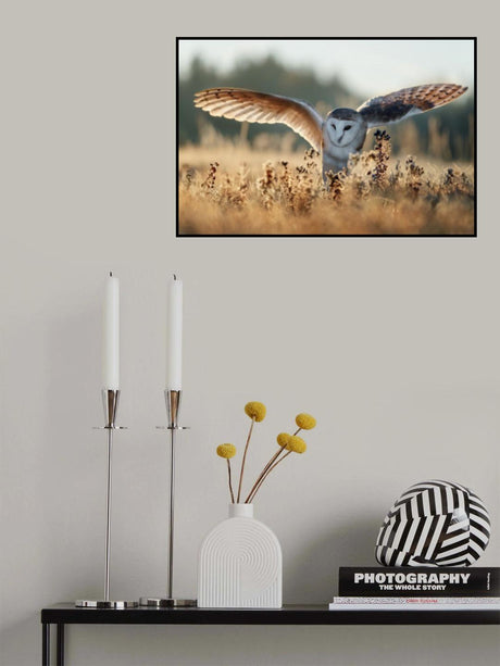 Sunrise Poster och Canvastavla