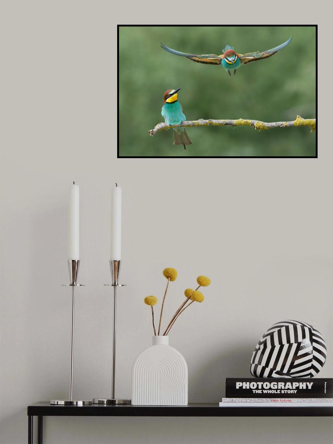 Give me a little room please Poster och Canvastavla