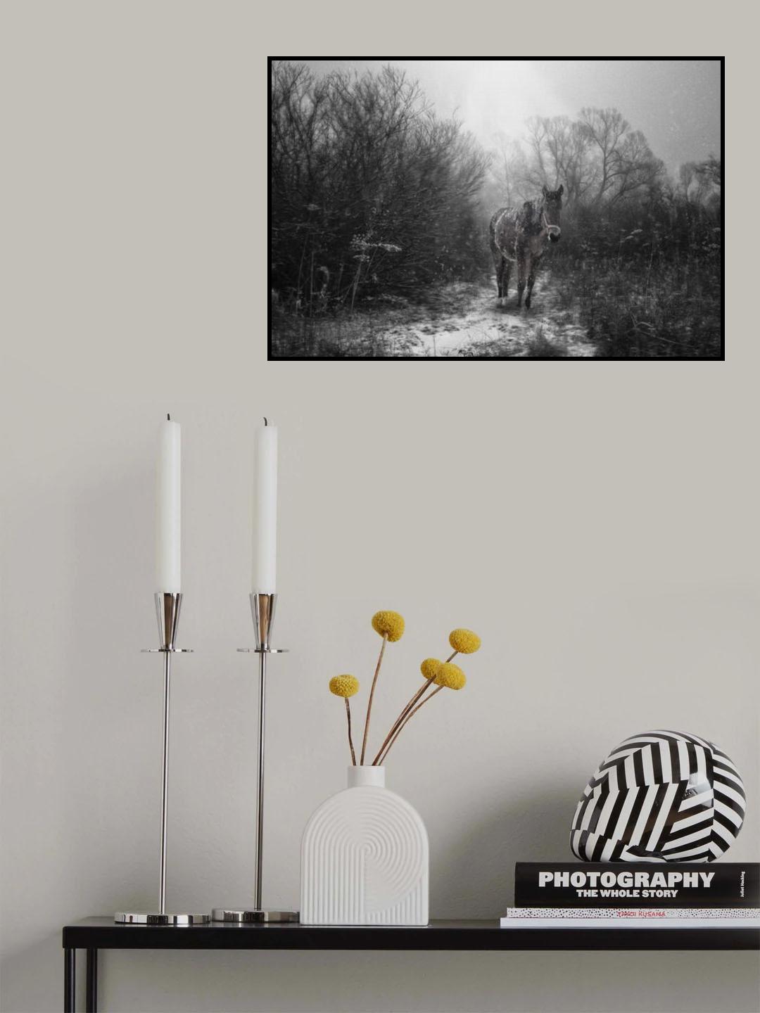 Poster och Canvastavla