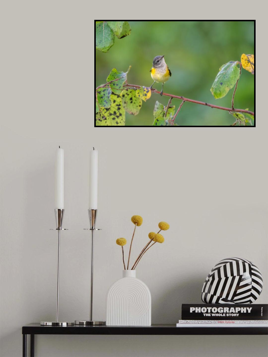 Autumn gaze Poster och Canvastavla