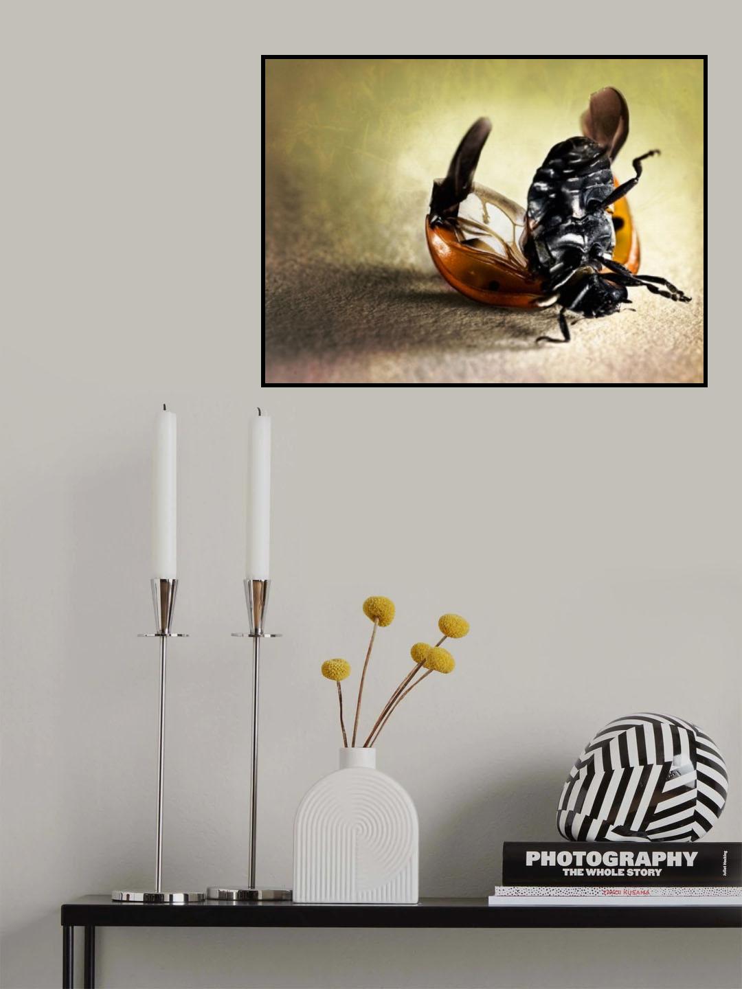 an other point of view Poster och Canvastavla