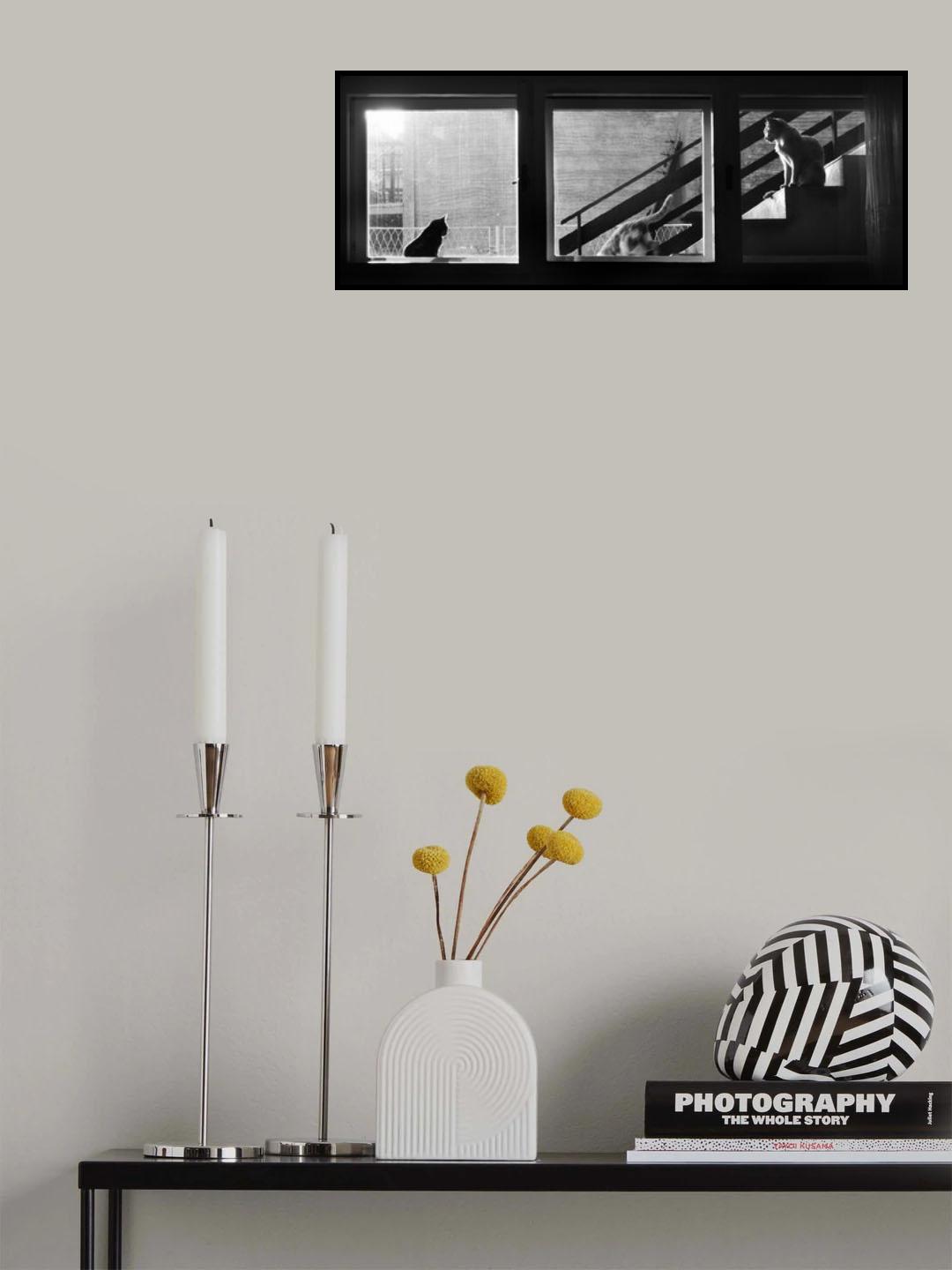 Poster och Canvastavla