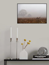 morning fog Poster och Canvastavla