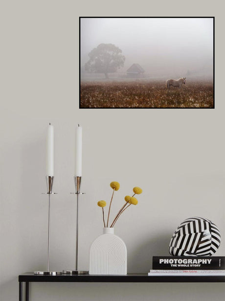 morning fog Poster och Canvastavla