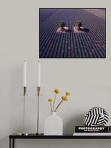 Twins Poster och Canvastavla