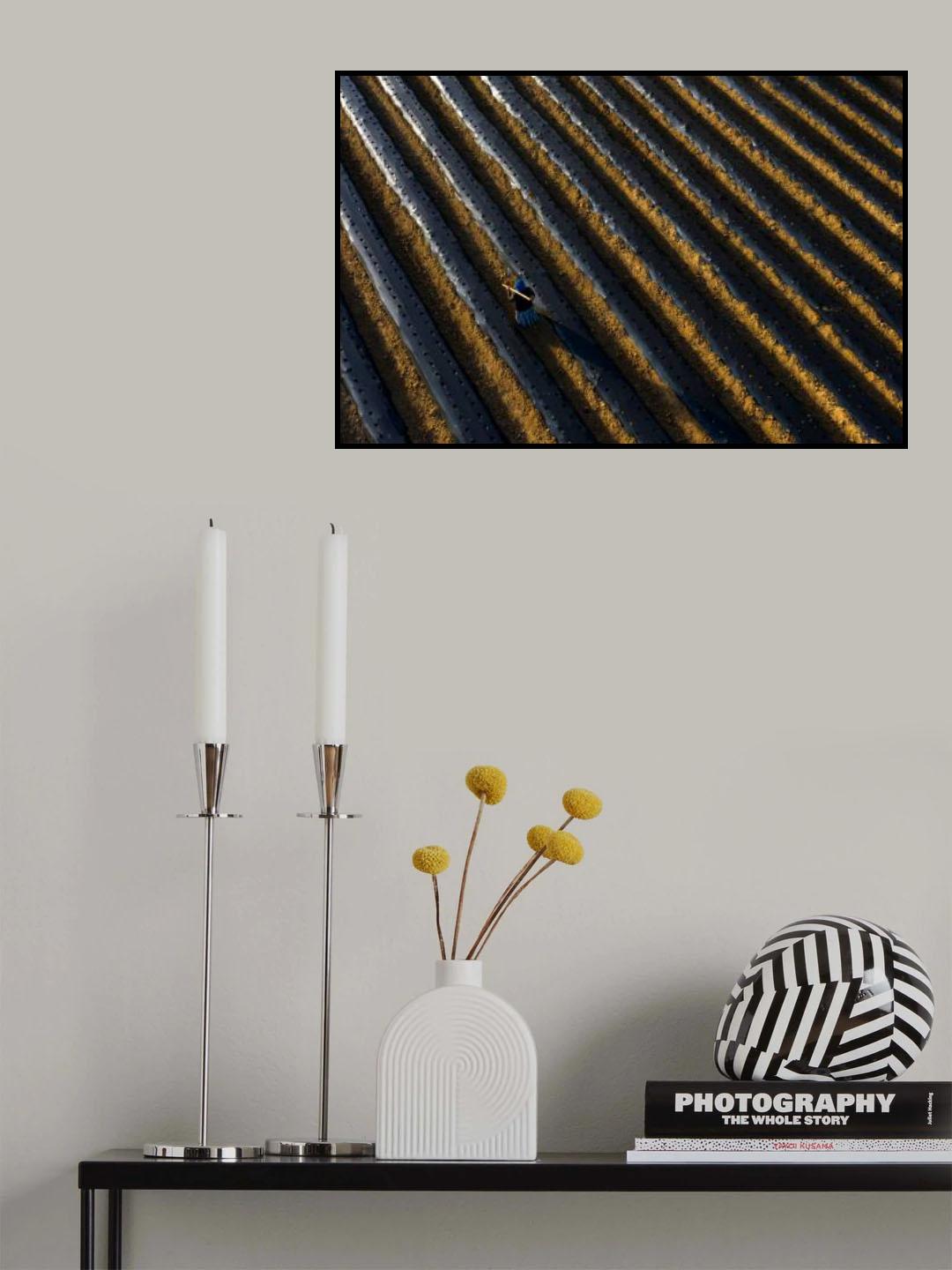 Strawberry Field Poster och Canvastavla