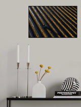 Strawberry Field Poster och Canvastavla