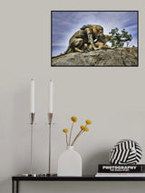 Poster och Canvastavla