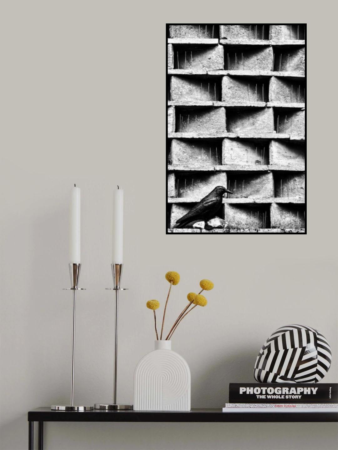 The crow Poster och Canvastavla