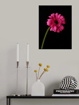 Beautiful flower Poster och Canvastavla