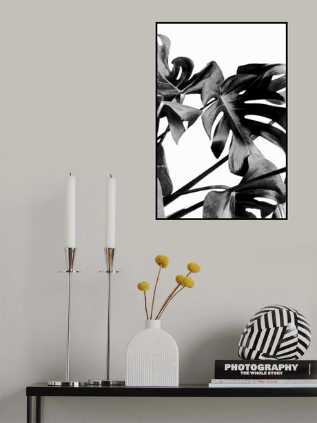 Monstera Black and White 06 Poster och Canvastavla