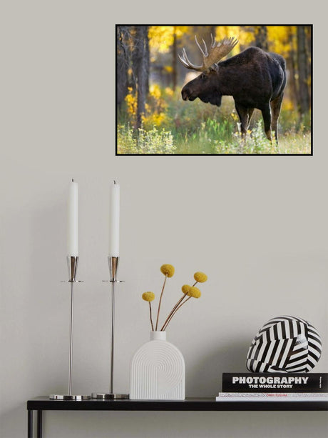 Royalty Poster och Canvastavla