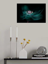 Shine Poster och Canvastavla