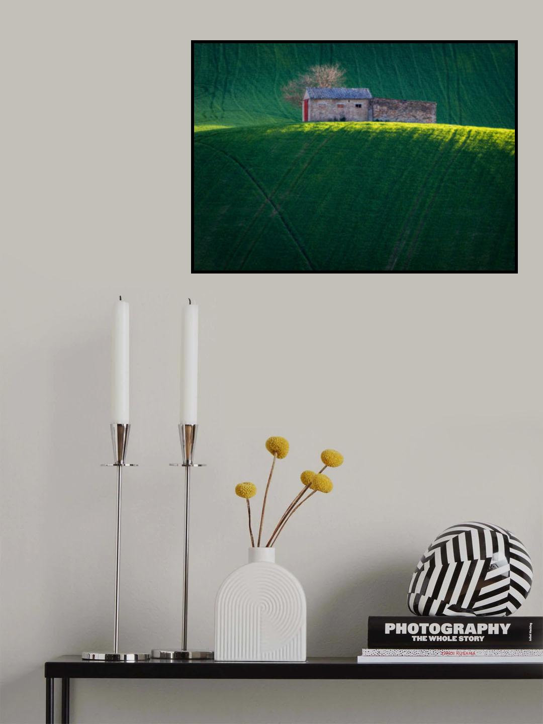 The last ray Poster och Canvastavla