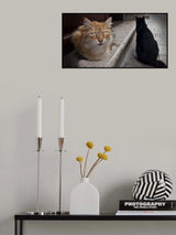Watchers Poster och Canvastavla