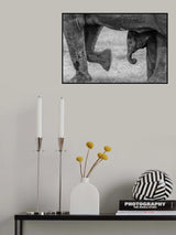 Elephant Frame Poster och Canvastavla