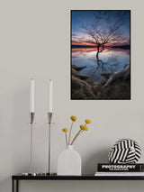 "FORGOTTEN TREE" Poster och Canvastavla